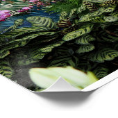 Orchid Peacock Perfect Poster (Hoek)