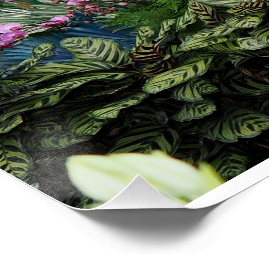 Orchid Peacock Perfect Poster (Hoek)