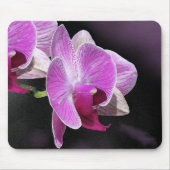 Orchid Phalae Mousepad Muismat (Voorkant)