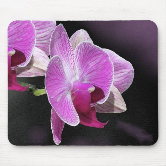 Orchid Phalae Mousepad Muismat (Voorkant)
