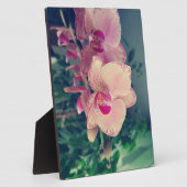 Orchid phalaenopsis ppolka dot roze bloemen bloeme fotoplaat (Zijkant)
