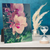 Orchid phalaenopsis ppolka dot roze bloemen bloeme fotoplaat (Zijkant)