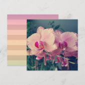 Orchid phalaenopsis ppolka dot roze bloemen bloeme kaart (Voorkant / Achterkant)