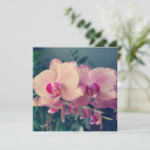 Orchid phalaenopsis ppolka dot roze bloemen bloeme kaart (Staand voorkant)