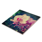 Orchid phalaenopsis ppolka dot roze bloemen bloeme tegeltje (Zijkant)