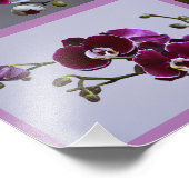 Orchid Photo Collage Foto Afdruk (Hoek)