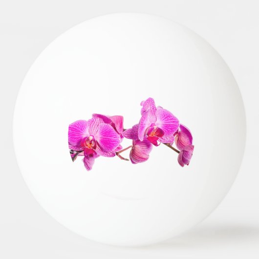 Orchid Pingpongbal (Achterkant)