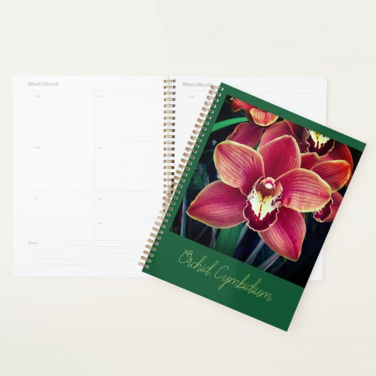 Orchid. Planner (Display)