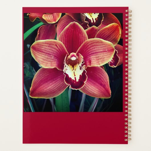 Orchid. Planner (Achterkant)