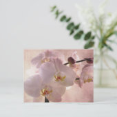Orchid Postacrd Briefkaart (Staand voorkant)
