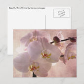 Orchid Postacrd Briefkaart (Voorkant / Achterkant)