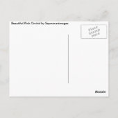 Orchid Postacrd Briefkaart (Achterkant)