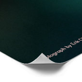 Orchid Poster (Hoek)