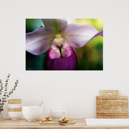 Orchid Poster (Keuken)