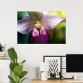 Orchid Poster (Thuiskantoor)
