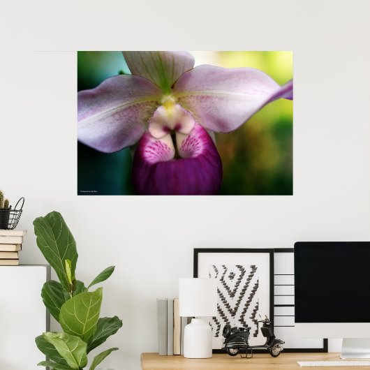 Orchid Poster (Thuiskantoor)