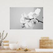Orchid Poster (Keuken)