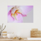 Orchid Poster (Keuken)