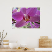 Orchid Poster (Keuken)