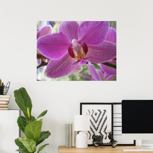Orchid Poster (Thuiskantoor)