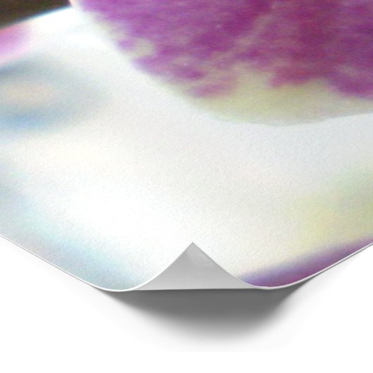 Orchid Poster (Hoek)