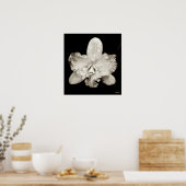 Orchid Poster (Keuken)