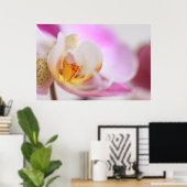 Orchid Poster (Thuiskantoor)