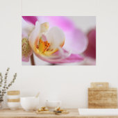 Orchid Poster (Keuken)