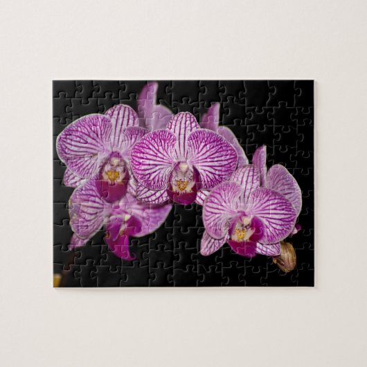 Orchid Puzzle Legpuzzel (Horizontaal)