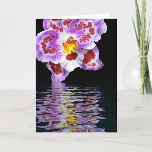 Orchid Reflection Kaart (Voorkant)