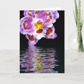 Orchid Reflection Kaart