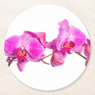 Orchid Ronde Kartonnen Onderzetter