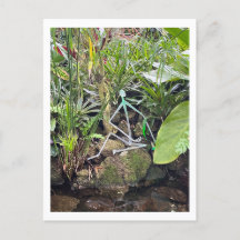 Orchid Room Stick Figuren 1 | Phipps Conservatory