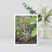 Orchid Room Stick Figuren 1 | Phipps Conservatory Briefkaart (Staand voorkant)