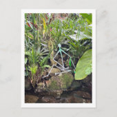 Orchid Room Stick Figuren 1 | Phipps Conservatory Briefkaart (Voorkant)