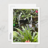 Orchid Room Stick Figuren 2 | Phipps Conservatory Briefkaart (Voorkant / Achterkant)