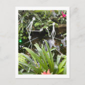 Orchid Room Stick Figuren 2 | Phipps Conservatory Briefkaart (Voorkant)