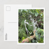 Orchid Room Stick Figuren 3 | Phipps Conservatory Briefkaart (Voorkant / Achterkant)