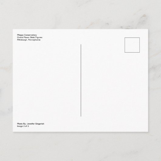 Orchid Room Stick Figuren 3 | Phipps Conservatory Briefkaart (Achterkant)