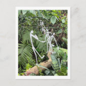 Orchid Room Stick Figuren 3 | Phipps Conservatory Briefkaart (Voorkant)