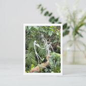 Orchid Room Stick Figuren 3 | Phipps Conservatory Briefkaart (Staand voorkant)