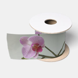 Orchid Satijnen Lint