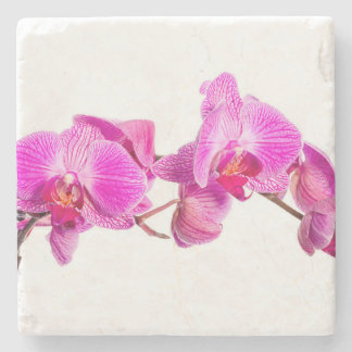 Orchid Stenen Onderzetter
