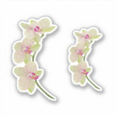 Orchid Sticker (Voorkant)