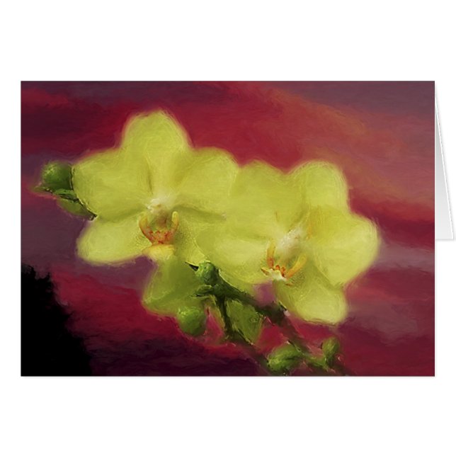 Orchid Sunset (Voorkant Horizontaal)