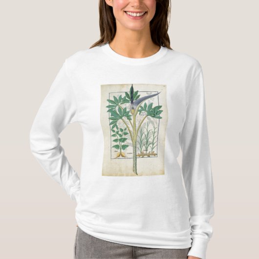 Orchid T-shirt (Voorkant)