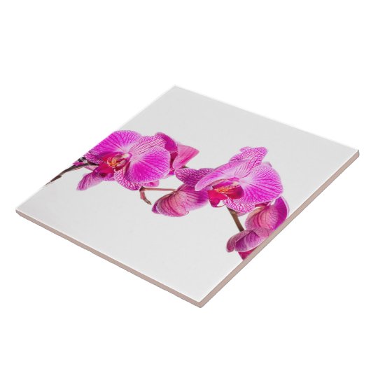 Orchid Tegeltje (Zijkant)