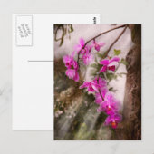 Orchid - Tropische passie Briefkaart (Voorkant / Achterkant)