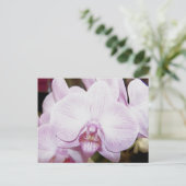 Orchid Vier Briefkaart (Staand voorkant)