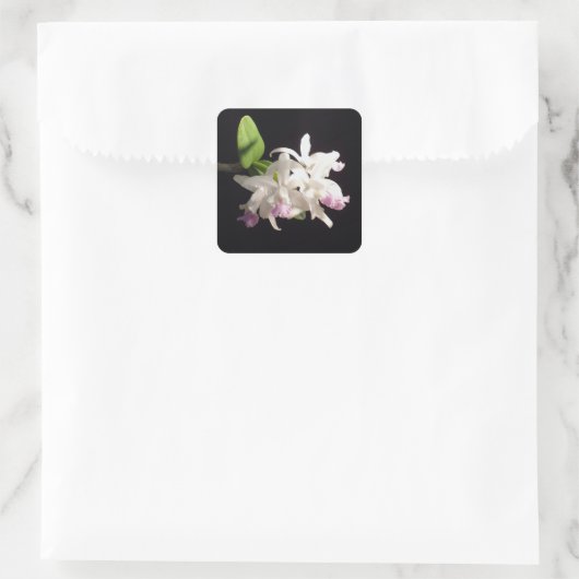 Orchid Vierkante Sticker (Tas)